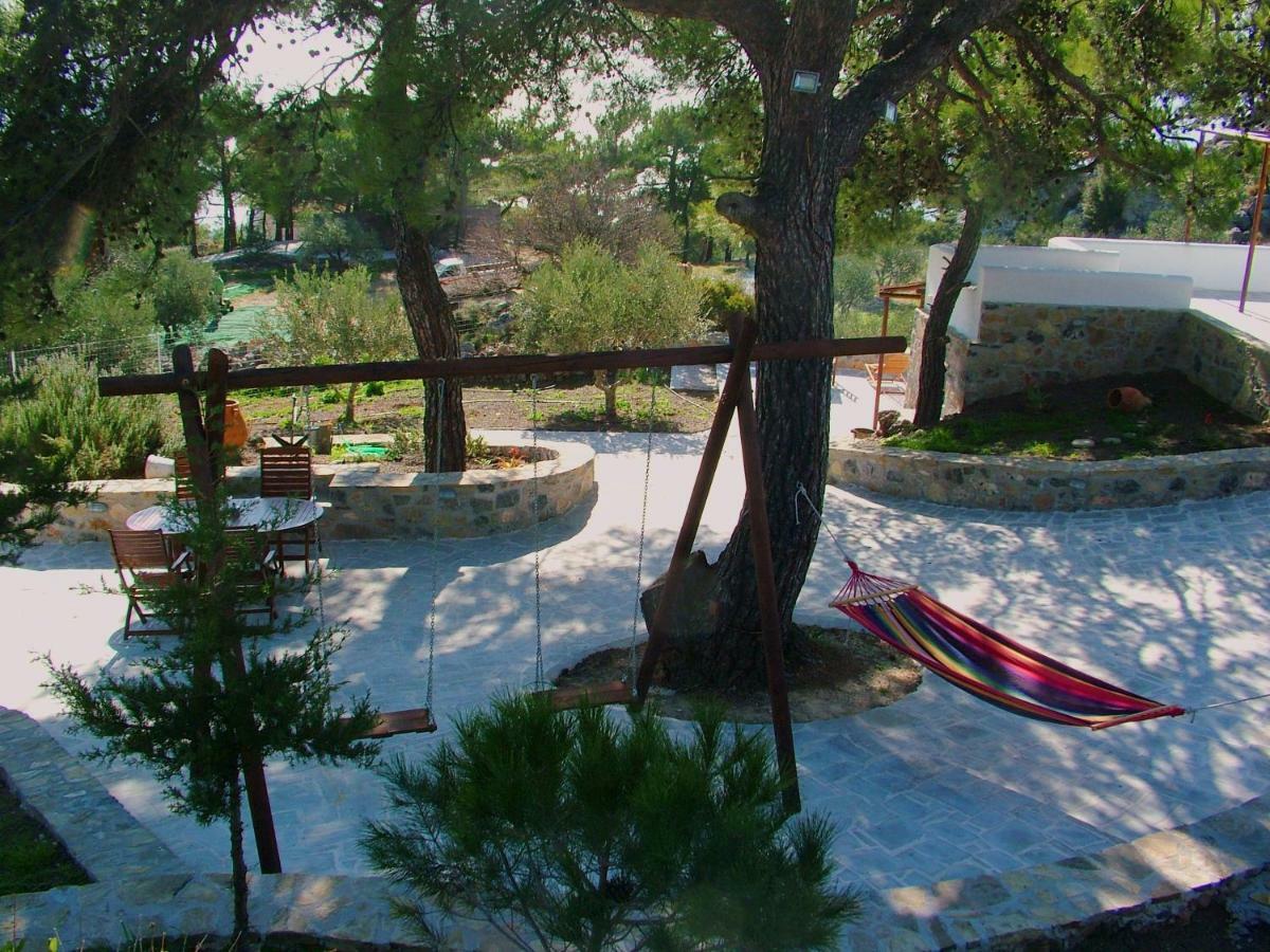 M - With Private Pool And Yard *