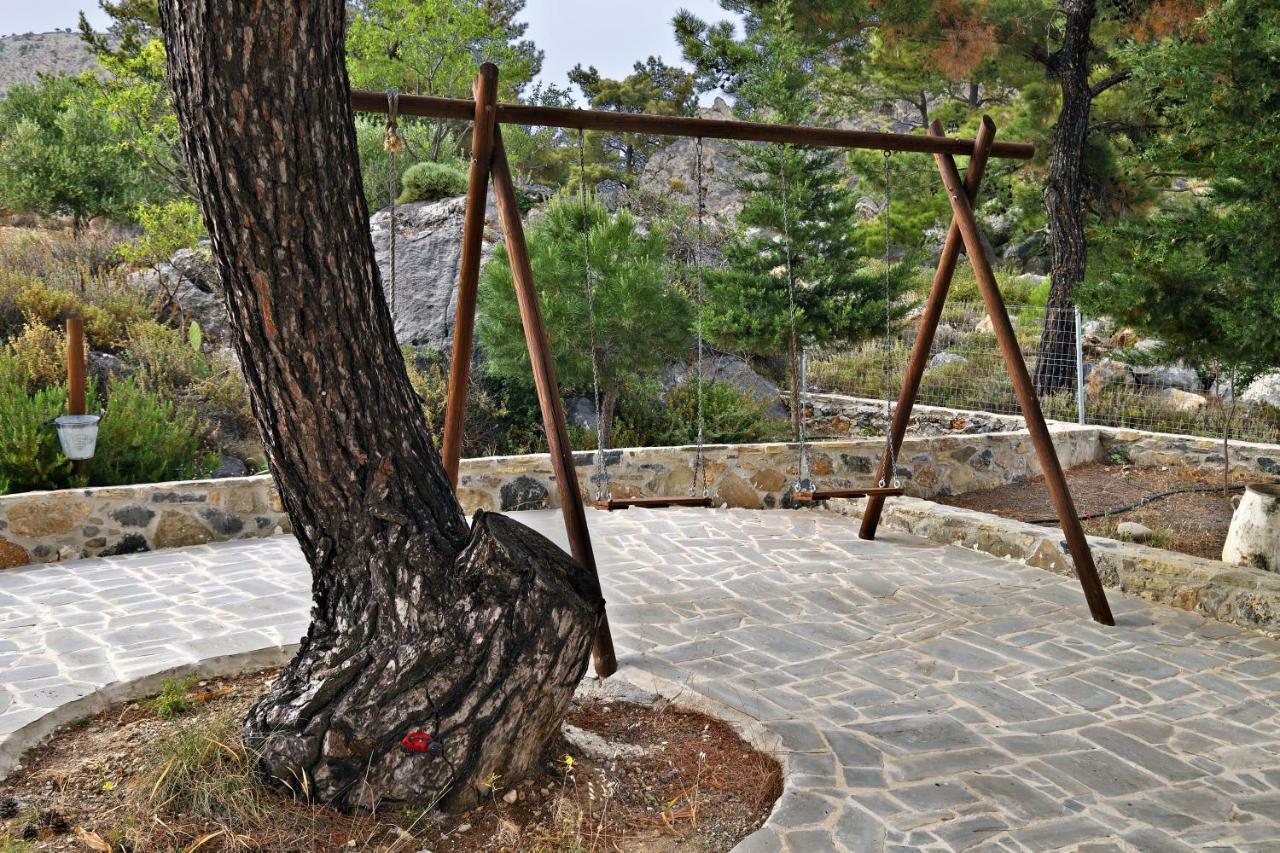 M - With Private Pool And Yard Vila