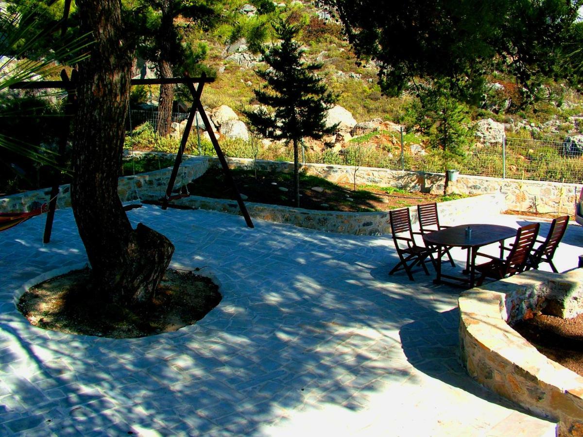 M - With Private Pool And Yard