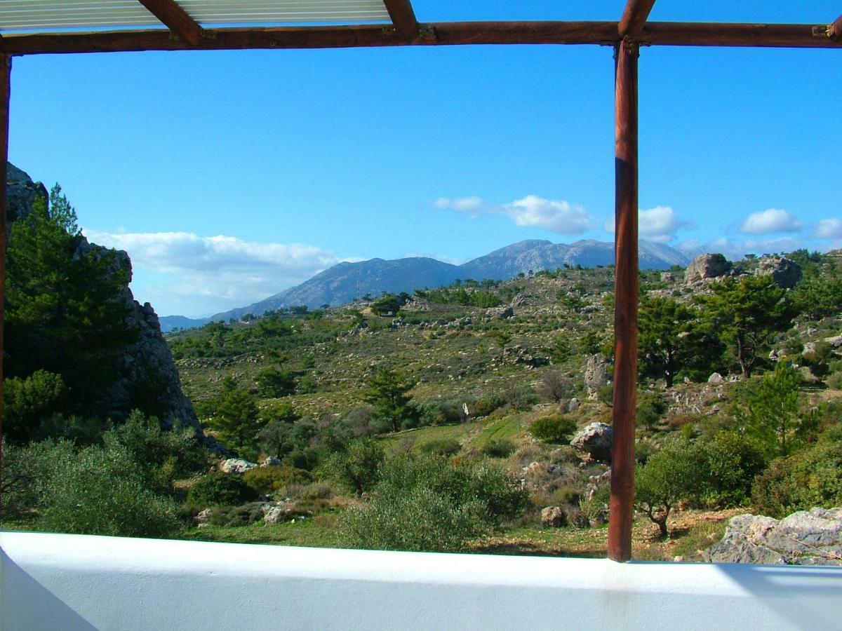 M - With Private Pool And Yard Villa